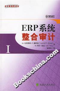 ERP系统整合审计