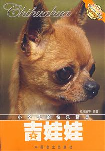 吉娃娃-技术教育社区